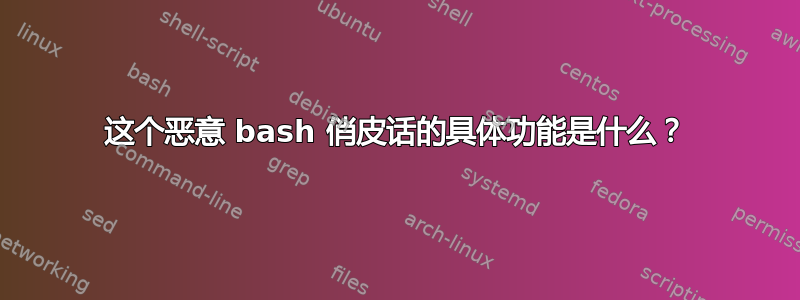 这个恶意 bash 俏皮话的具体功能是什么？