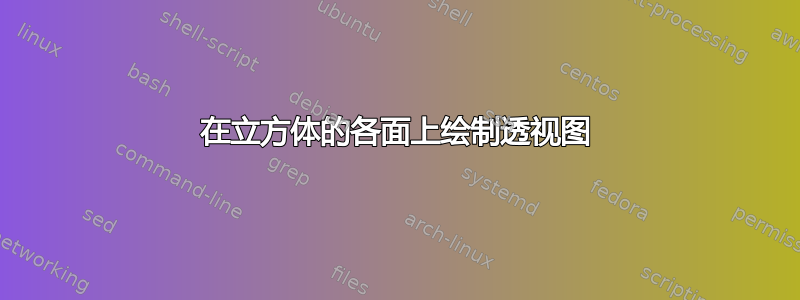 在立方体的各面上绘制透视图