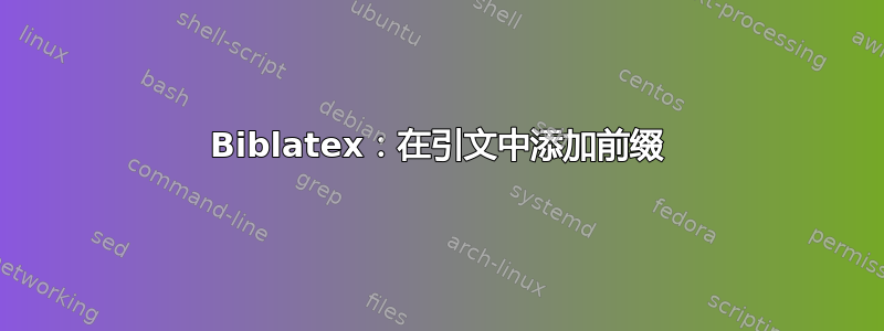 Biblatex：在引文中添加前缀