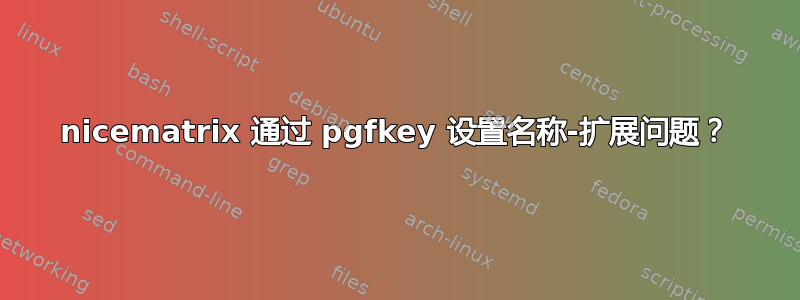 nicematrix 通过 pgfkey 设置名称-扩展问题？