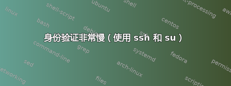 身份验证非常慢（使用 ssh 和 su）