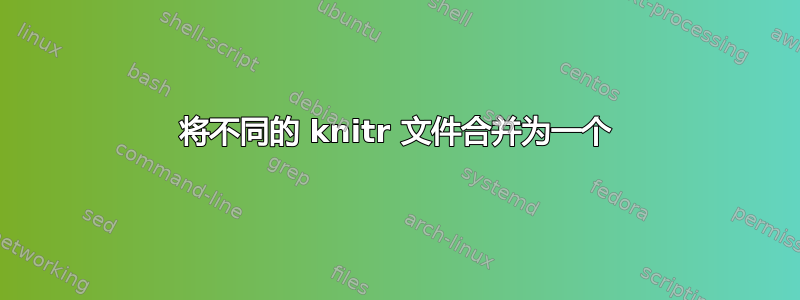 将不同的 knitr 文件合并为一个