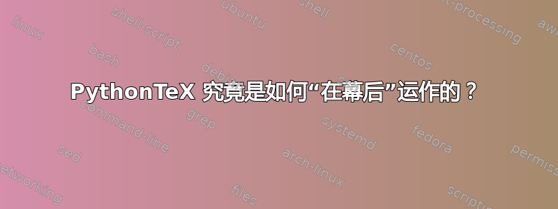 PythonTeX 究竟是如何“在幕后”运作的？