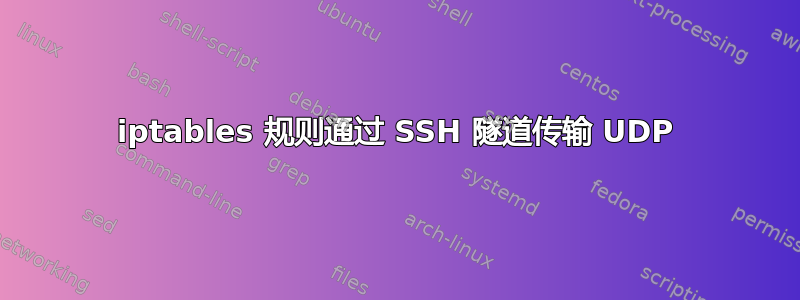 iptables 规则通过 SSH 隧道传输 UDP