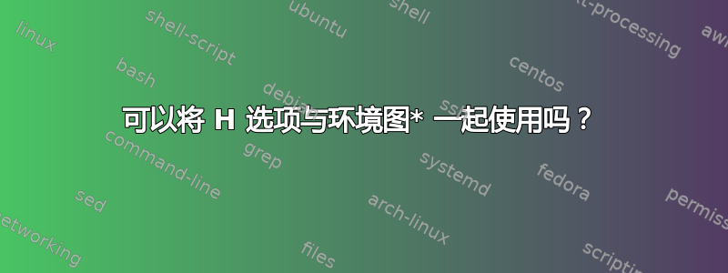 可以将 H 选项与环境图* 一起使用吗？