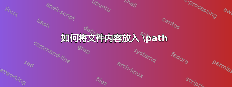 如何将文件内容放入 \path