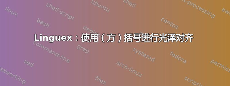 Linguex：使用（方）括号进行光泽对齐