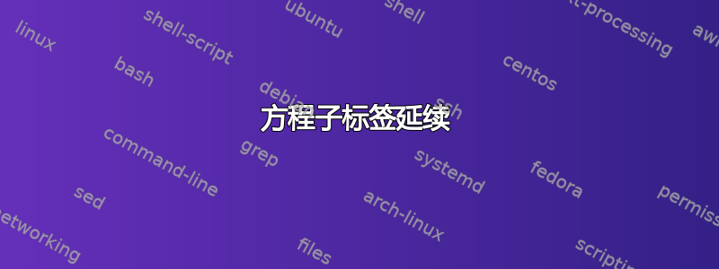 方程子标签延续