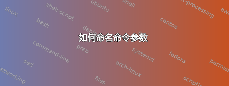 如何命名命令参数