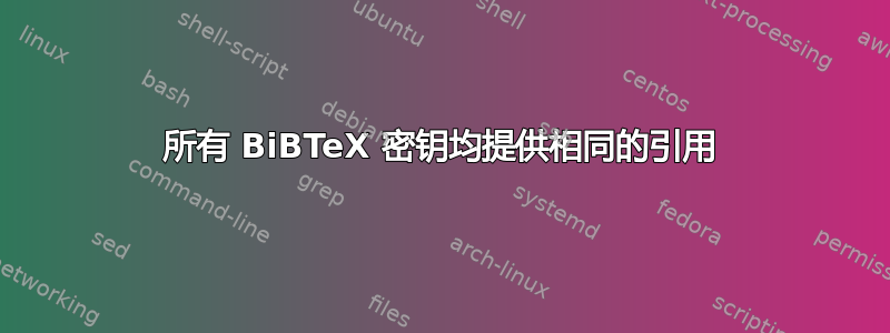 所有 BiBTeX 密钥均提供相同的引用