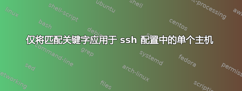 仅将匹配关键字应用于 ssh 配置中的单个主机