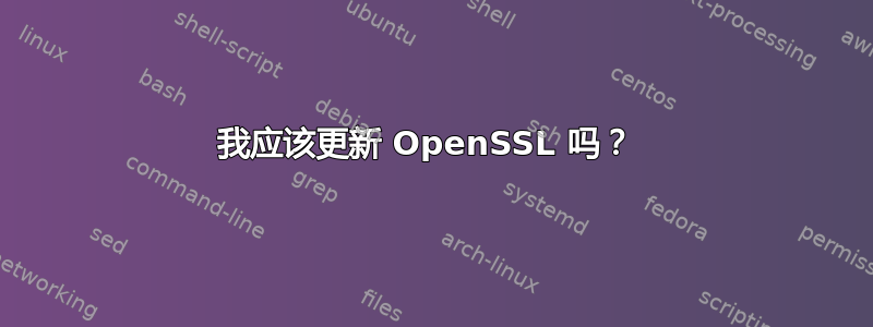 我应该更新 OpenSSL 吗？ 