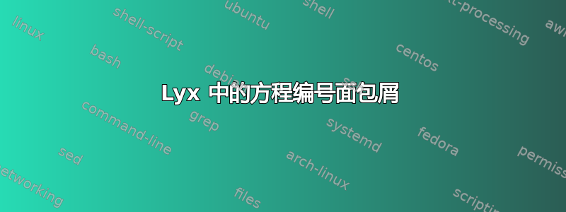 Lyx 中的方程编号面包屑