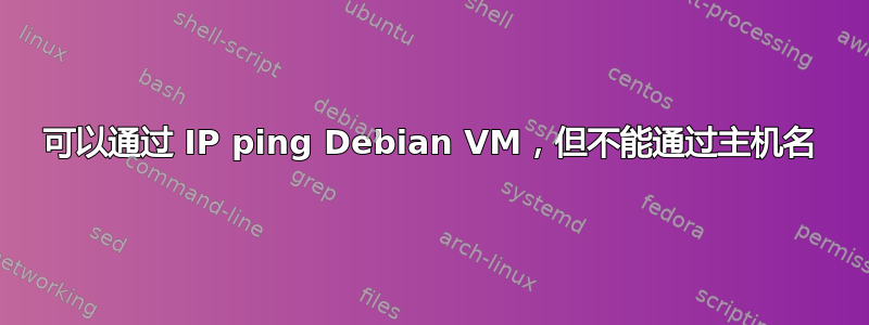 可以通过 IP ping Debian VM，但不能通过主机名