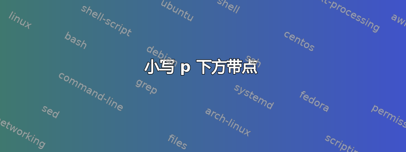 小写 p 下方带点