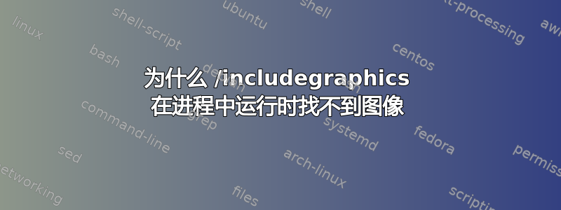 为什么 /includegraphics 在进程中运行时找不到图像