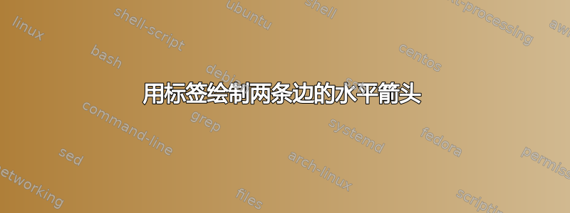 用标签绘制两条边的水平箭头