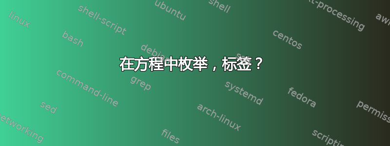 在方程中枚举，标签？