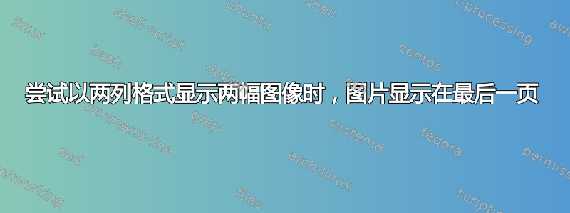 尝试以两列格式显示两幅图像时，图片显示在最后一页