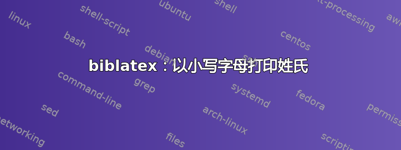 biblatex：以小写字母打印姓氏