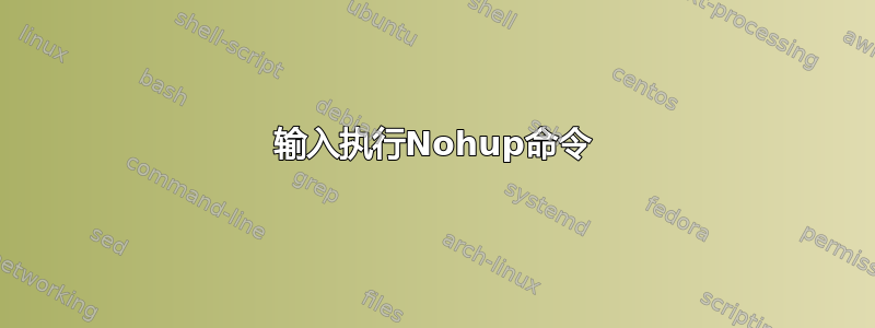 输入执行Nohup命令