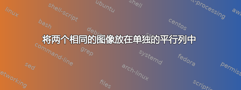 将两个相同的图像放在单独的平行列中