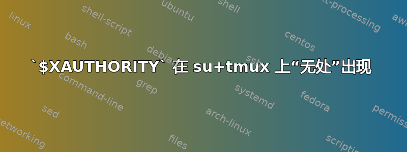 `$XAUTHORITY` 在 su+tmux 上“无处”出现