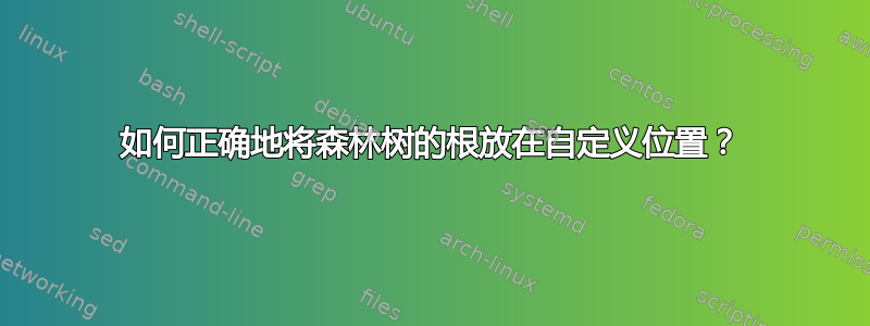 如何正确地将森林树的根放在自定义位置？