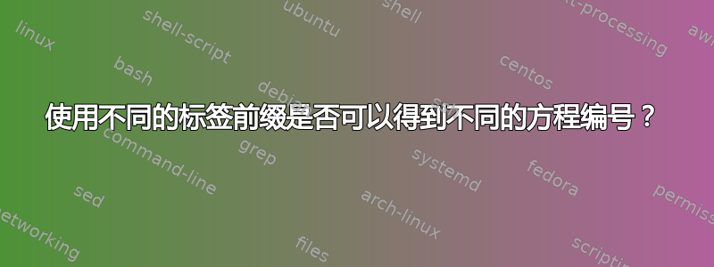 使用不同的标签前缀是否可以得到不同的方程编号？