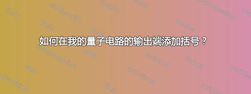 如何在我的量子电路的输出端添加括号？