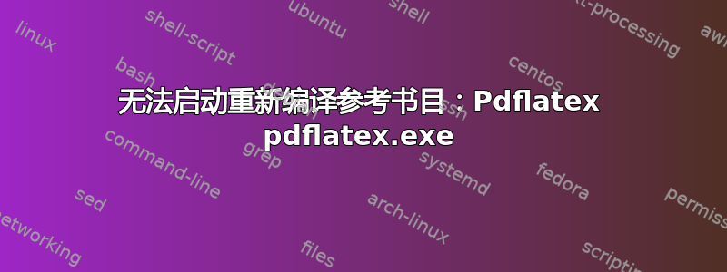 无法启动重新编译参考书目：Pdflatex pdflatex.exe