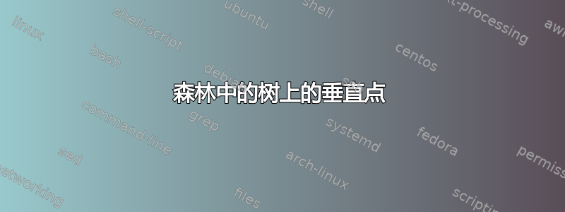 森林中的树上的垂直点