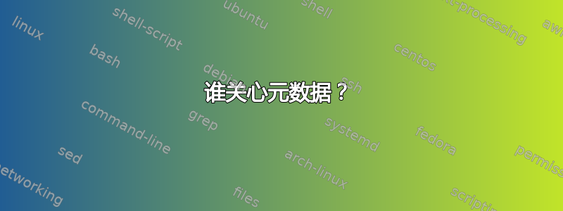 谁关心元数据？