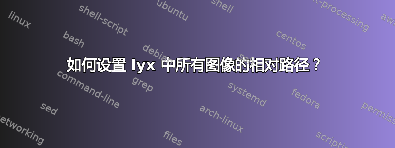 如何设置 lyx 中所有图像的相对路径？