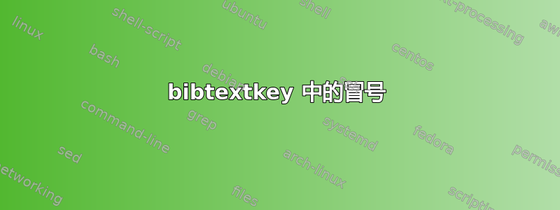 bibtextkey 中的冒号