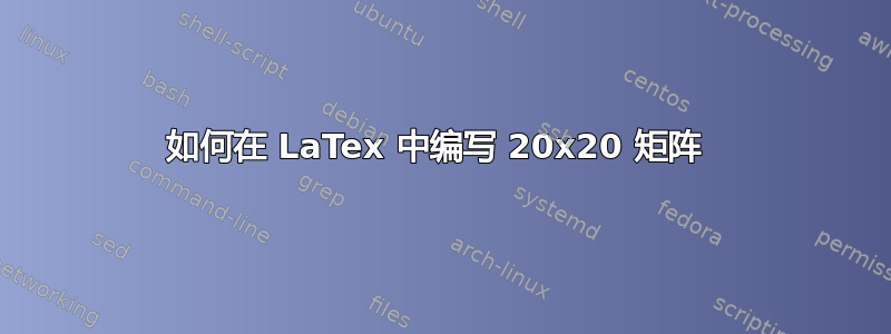 如何在 LaTex 中编写 20x20 矩阵 