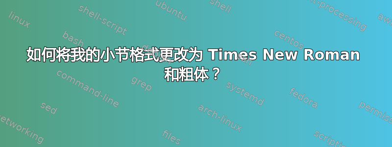 如何将我的小节格式更改为 Times New Roman 和粗体？