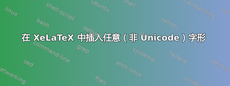 在 XeLaTeX 中插入任意（非 Unicode）字形