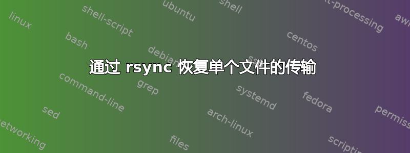 通过 rsync 恢复单个文件的传输