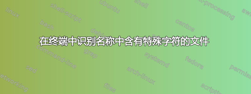 在终端中识别名称中含有特殊字符的文件