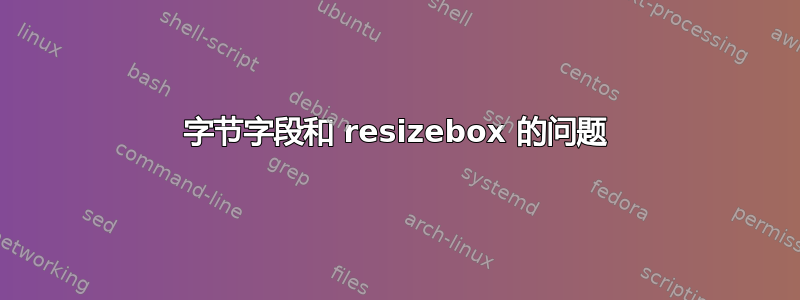 字节字段和 resizebox 的问题