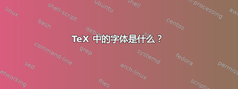 TeX 中的字体是什么？