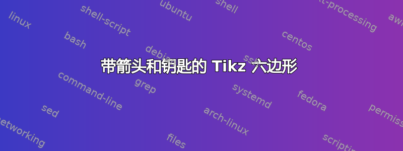 带箭头和钥匙的 Tikz 六边形