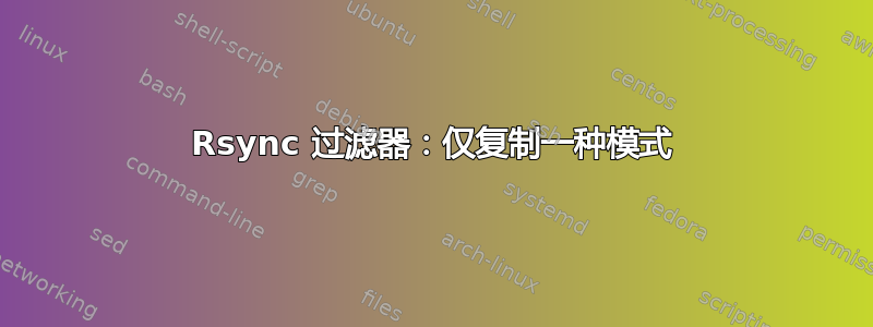 Rsync 过滤器：仅复制一种模式