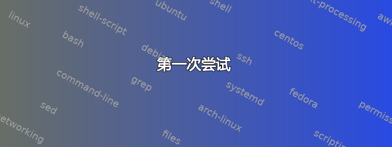 第一次尝试