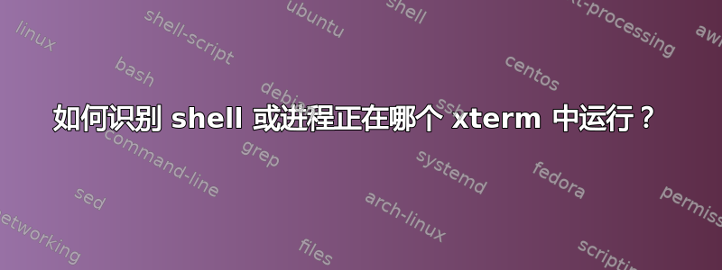 如何识别 shell 或进程正在哪个 xterm 中运行？