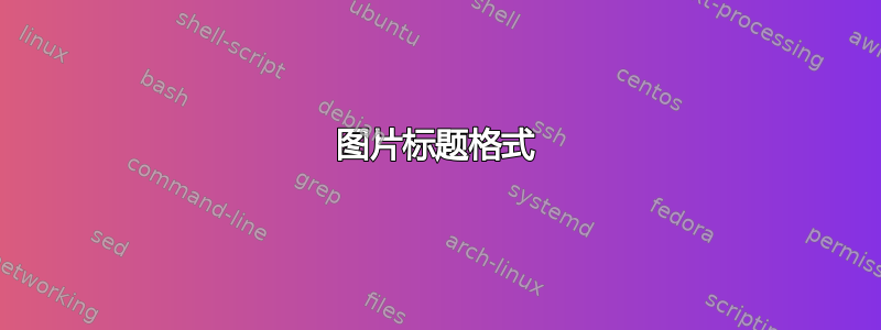 图片标题格式