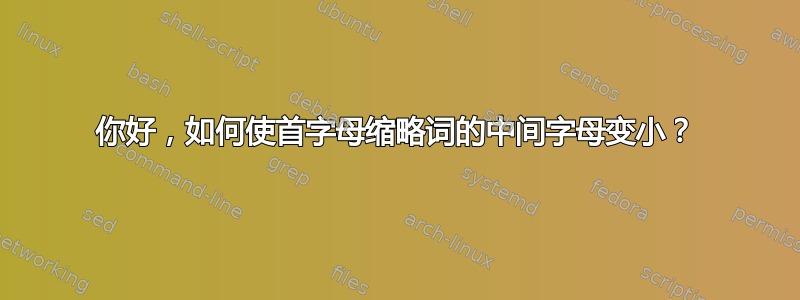 你好，如何使首字母缩略词的中间字母变小？