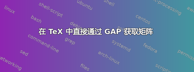 在 TeX 中直接通过 GAP 获取矩阵