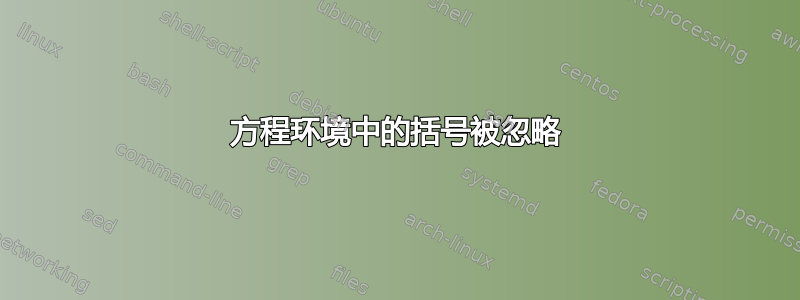 方程环境中的括号被忽略